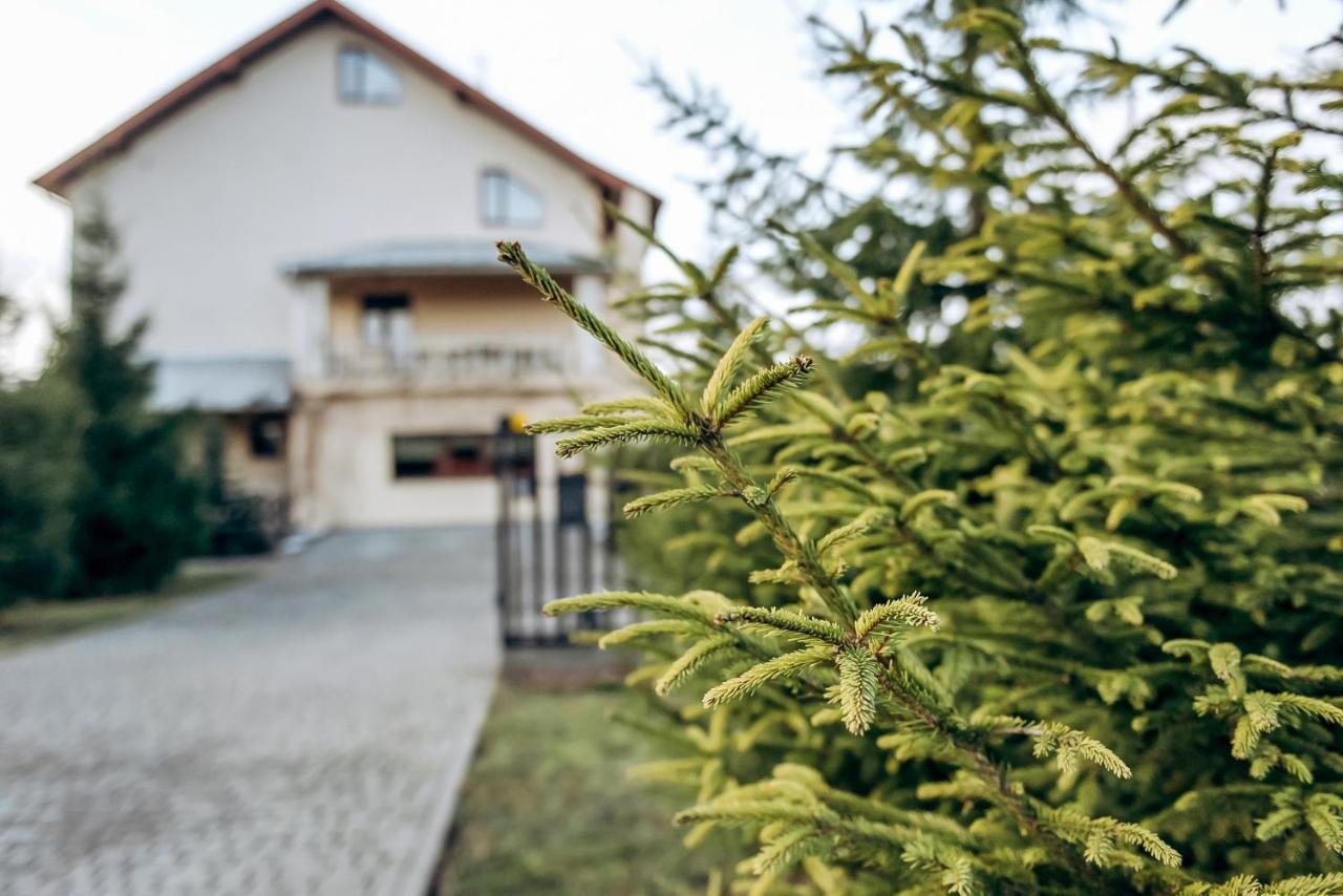 Villa Kmeller Brjuhovicsi Kültér fotó